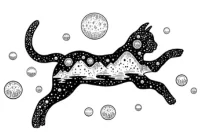 artificio-paquetes-tarifas-cat-11