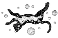 artificio-paquetes-tarifas-cat-111-11